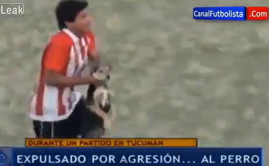 Giocatore lancia un cane fuori dal campo: arbitro lo espelle (VIDEO)