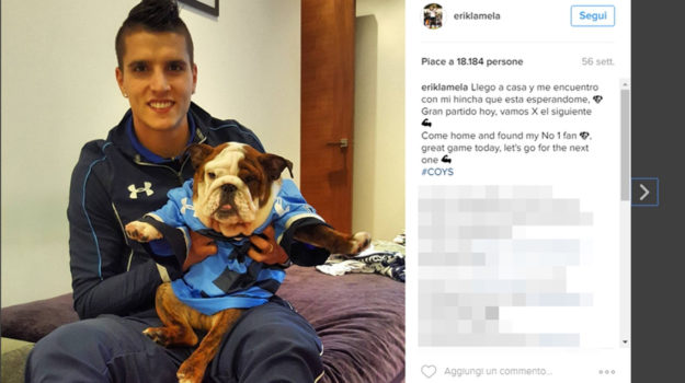 lamela cane